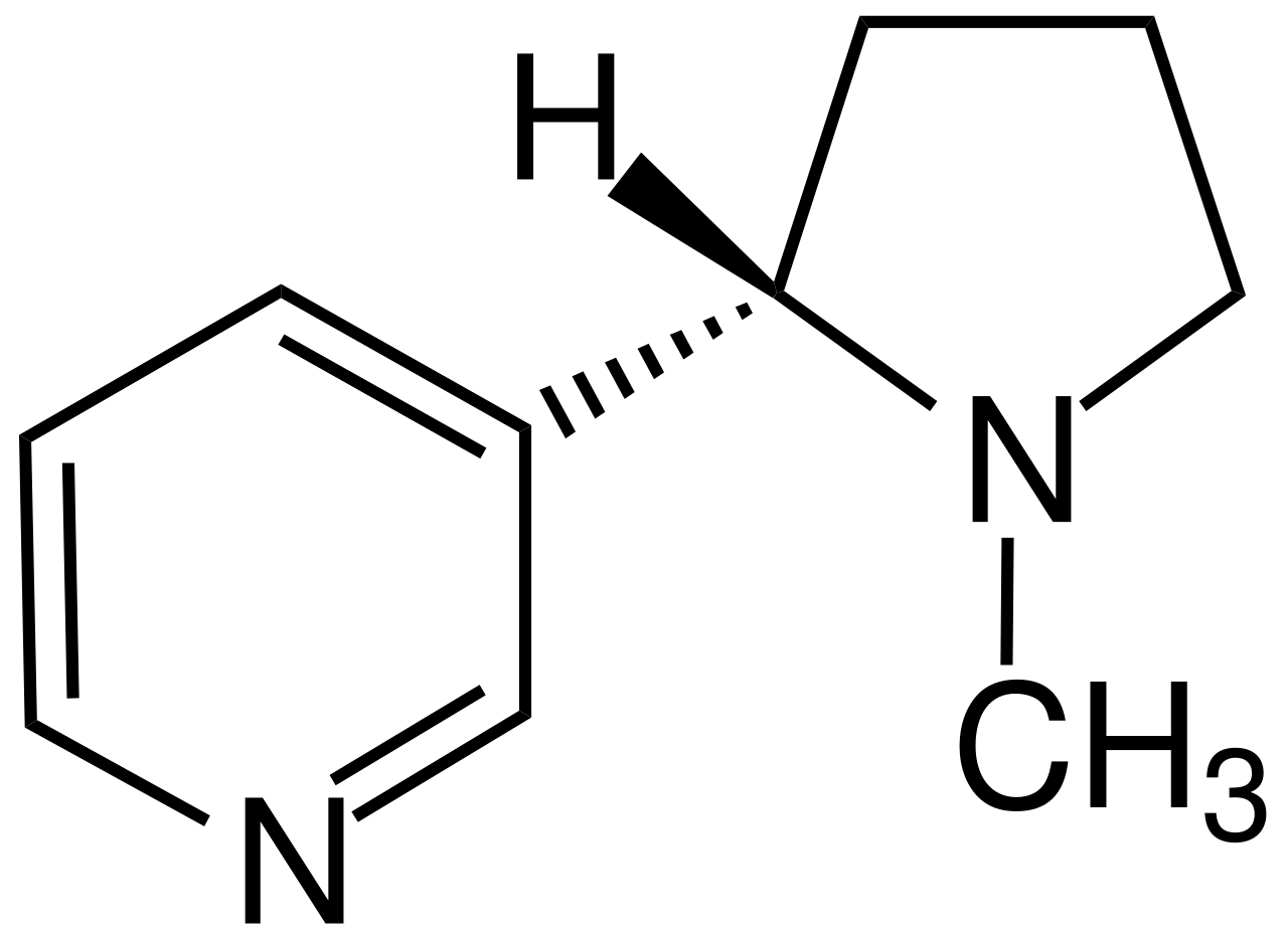 nicotine chemical structure